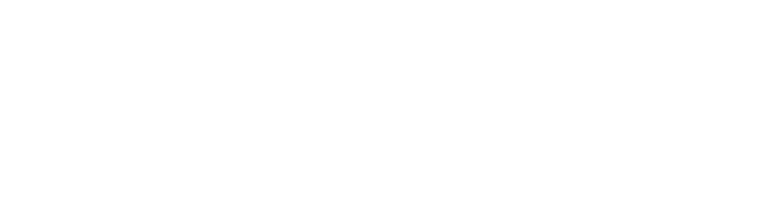 صالح نگار