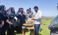 تور گردشگری خبرنگاران برای آشنایی با کرمانشاه «جهان‌شهر خلاق خوراک»