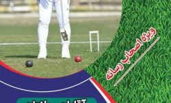 کارگاه آموزشی «کروکت» در کرمانشاه برگزار می شود