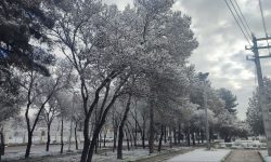 کرمانشاه سرزمین زیبایی ها در یک روز برفی