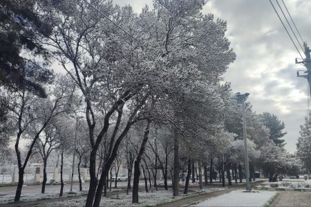 کرمانشاه سرزمین زیبایی ها در یک روز برفی