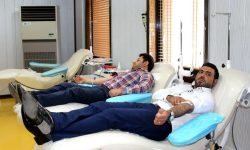 ذخایر خون در استان کرمانشاه کاهش یافت