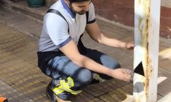 ماموریت آتش‌نشانی کرمانشاه برای نجات «گنجشک»