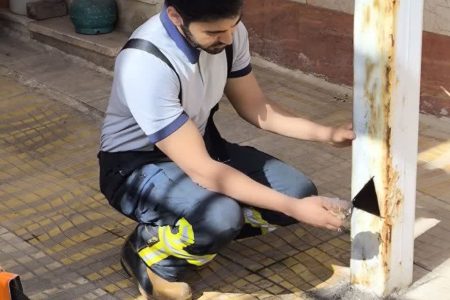 ماموریت آتش‌نشانی کرمانشاه برای نجات «گنجشک»