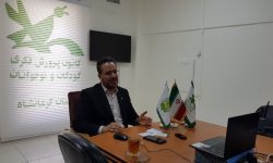 نشست کشوری مجازی مربیان کانون پرورش فکری برگزار شد