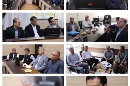  ارزیابی عملکرد شرکت توزیع نیروی برق استان کرمانشاه در حوزه‌ مشترکین