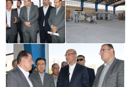 بازدید مسئولان ارشد وزارت صمت و استانداری کرمانشاه و مدیرکل صمت از شرکت پلیمر چنته؛ تأکید بر رفع موانع تولید و حمایت از صنایع پلیمری استان