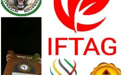 مسابقات جهانی تکنیک برتر میکس مارشال اسپرت ۲۰۲۶ برگزار می‌شود