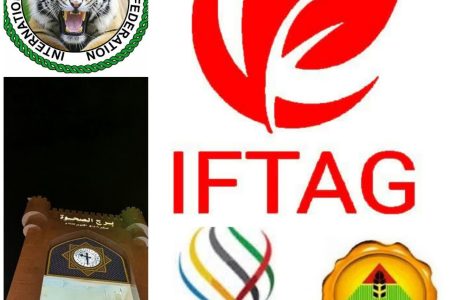 مسابقات جهانی تکنیک برتر میکس مارشال اسپرت ۲۰۲۶ برگزار می‌شود