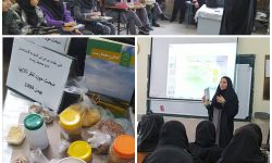 برگزاری دوره آموزشی تخصصی انسان و محیط زیست در دبیرستان موسی بن جعفر (ع) کرمانشاه