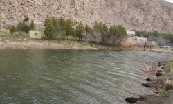 بازگشت جریان حیات به تالاب هشیلان با مدیریت علمی منابع آب