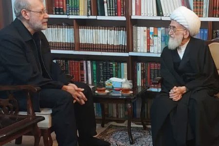 شهید لاریجانی دیانت،سیاست، عقل،علم و عمل را در خود جمع کرده بود + پیام حضرت آیت الله  مکارم شیرازی در پی شهادت دکتر علی لاریجانی