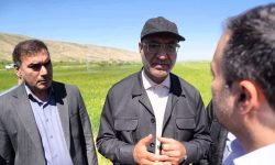 استاندار کرمانشاه: معیشت مرزنشینان استان با اجرای سامانه گرمسیری تضمین شده است | رییس جهاد کشاورزی استان: تا کنون  ۱۸ هزار هکتار از اراضی سامانه گرمسیری به بهره برداری رسید