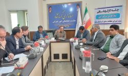  کشت‌ برنج یک تهدید جدی برای توسعه پایدار شرق کرمانشاه است