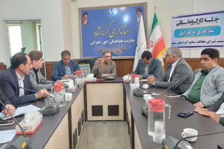  کشت‌ برنج یک تهدید جدی برای توسعه پایدار شرق کرمانشاه است