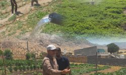 حمید رضا اکبری: اگر بگذارند تحولی در حوزه اشتغال در بخش مرکزی شکل خواهیم داد