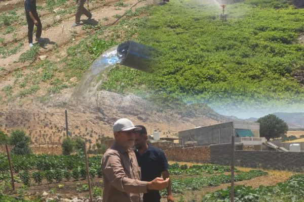 حمید رضا اکبری: اگر بگذارند تحولی در حوزه اشتغال در بخش مرکزی شکل خواهیم داد